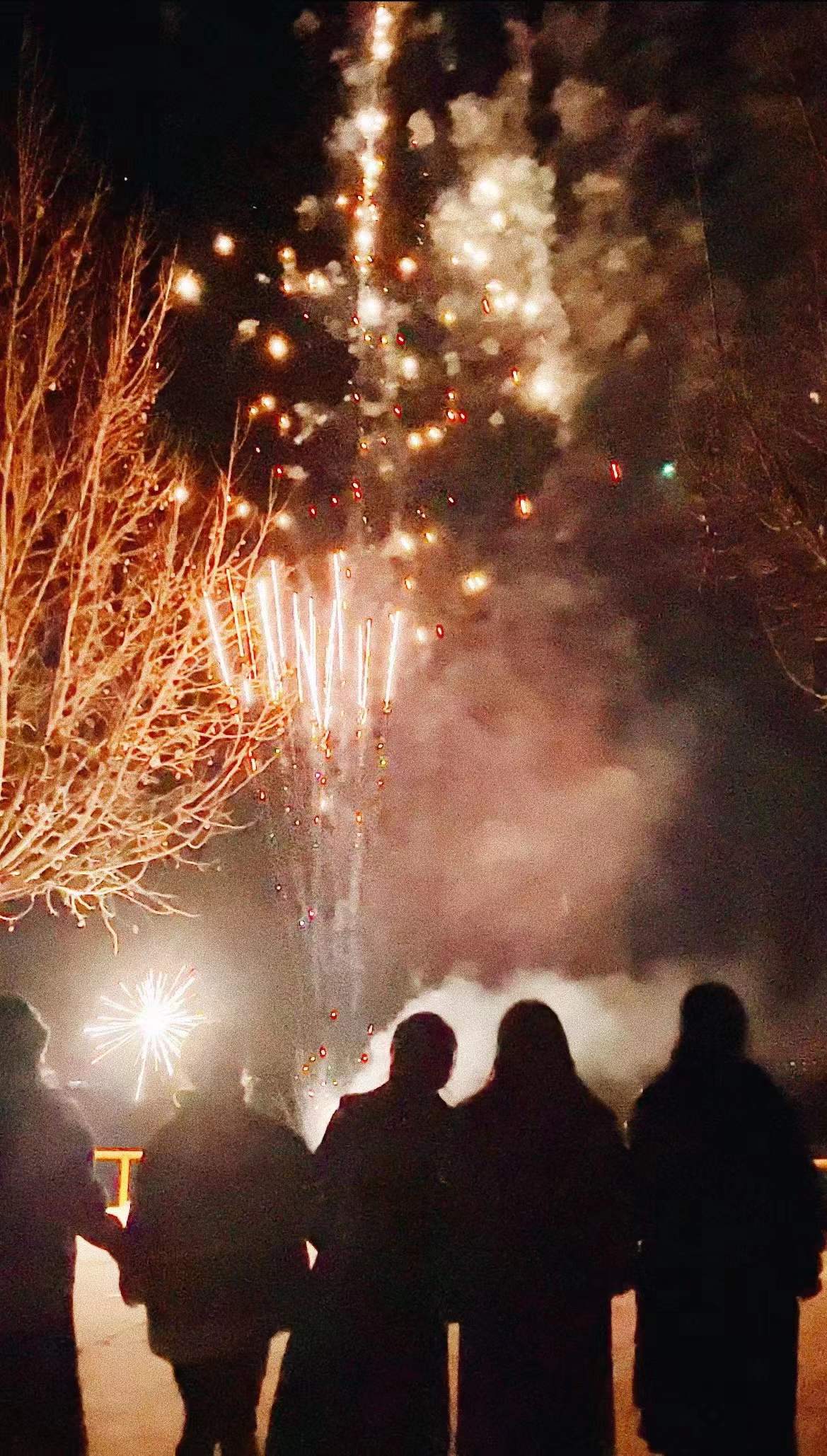 带着年味的花 于熙.jpg